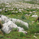 Illustration for article titled Can You Find the Two Camouflaged Commandos in This Photo Before They Shoot You?